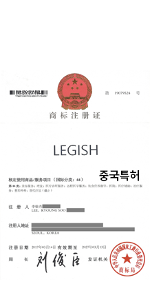 LEGISH 중국특허